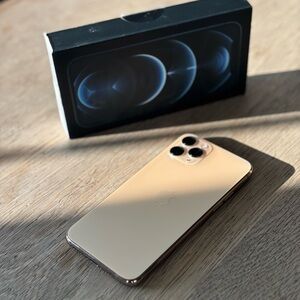 Apple iPhone in Elegant Gold Finish